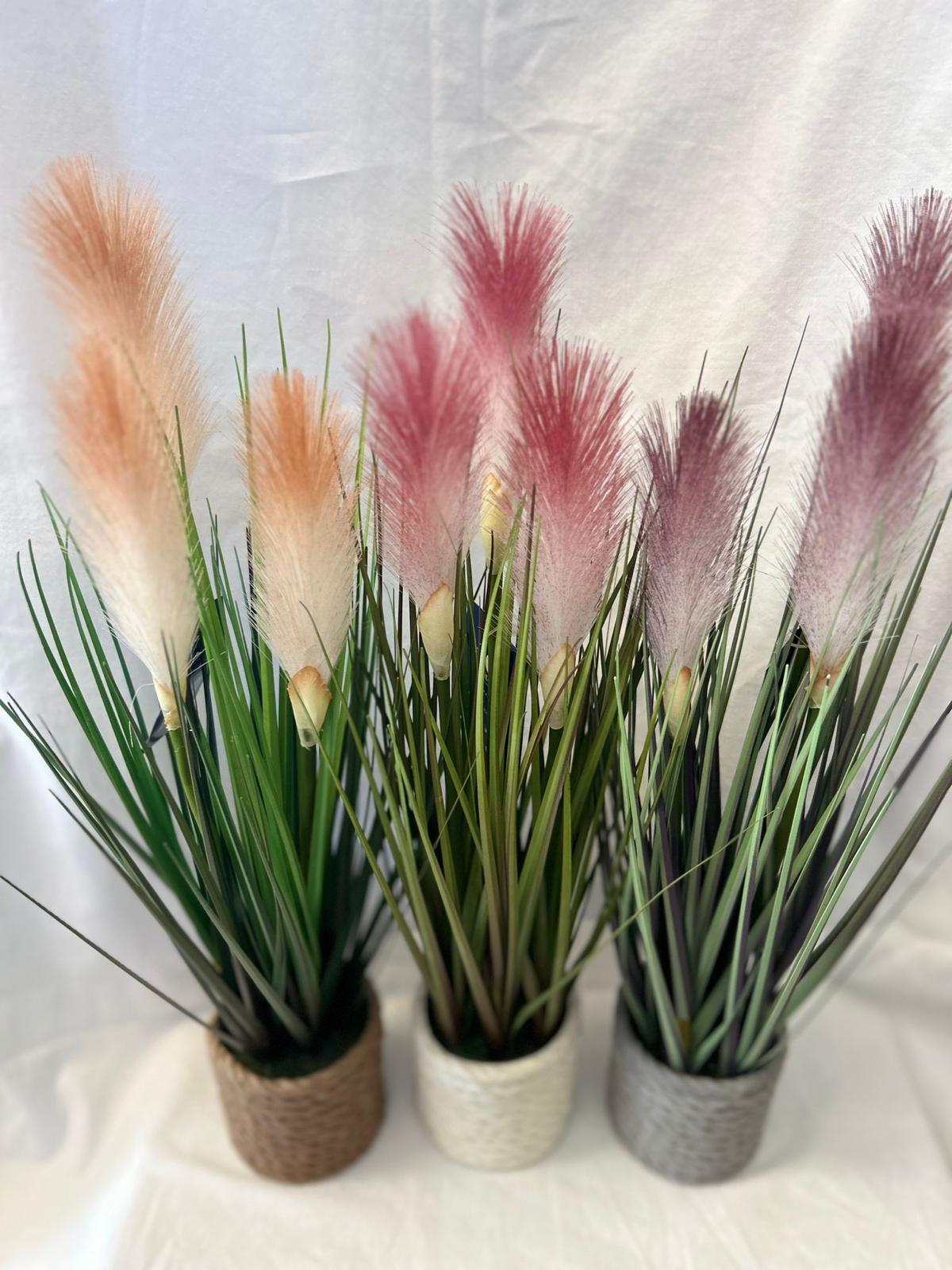 Pianta Decorativa Pampas in Vaso di Corda